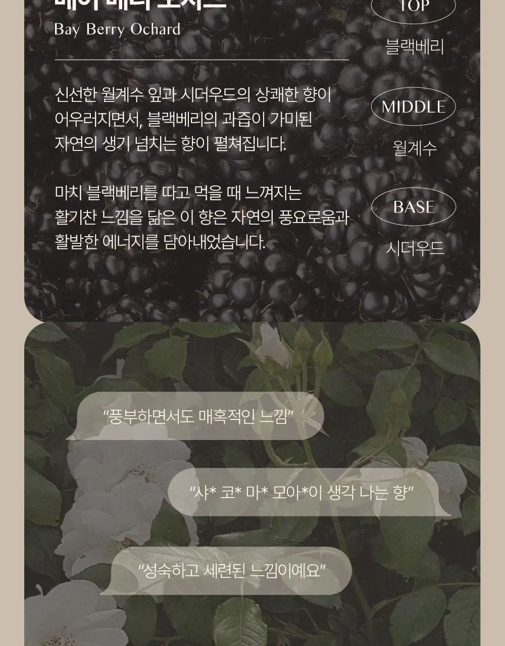 [대용량] 바디브 약산성 바디워시 [여드름기능성/등드름] 1000ml 3종 택1 상세페이지 21